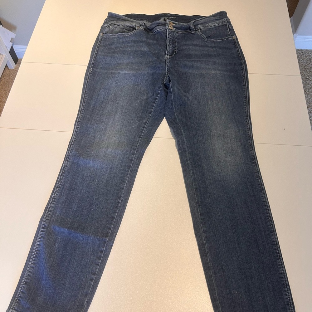 Stylish Inc Denim Women's Slightly Distressed Ankle Jeans